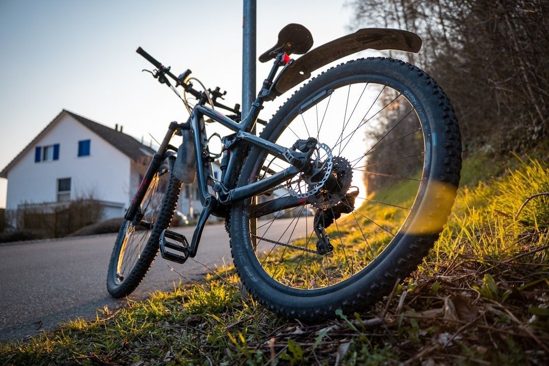 Mountainbike med brede dæk og skærm parkeret ved en vej